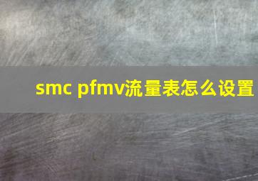 smc pfmv流量表怎么设置